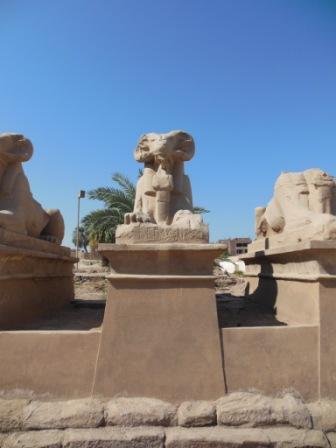 Egypt (Karnak temple, Luxor) 2014