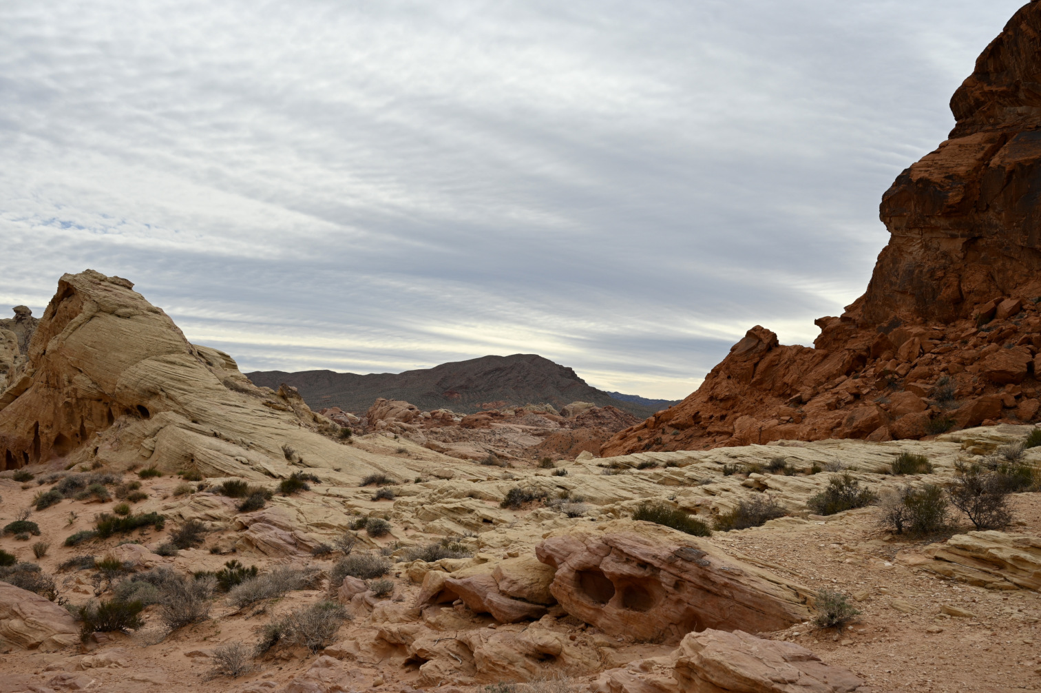 Valley of Fire 2023