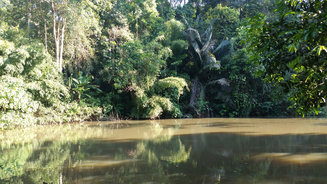 Phuket (Khao Phra Thaeo National Park) 2016